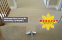 Megadry Carpet Cleaning logo